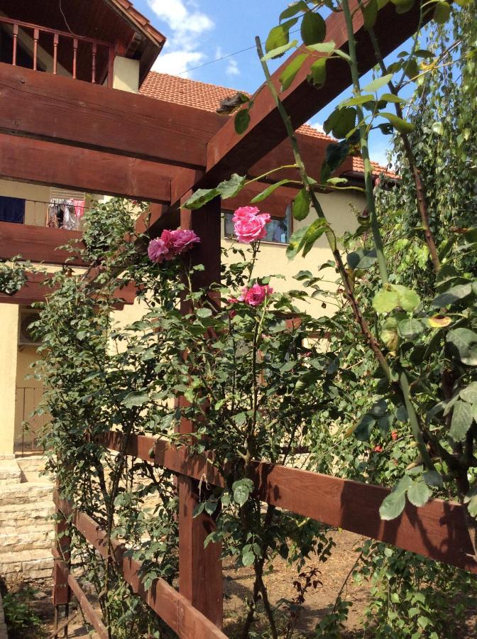Villa Rosa Năvodari Zewnętrze zdjęcie