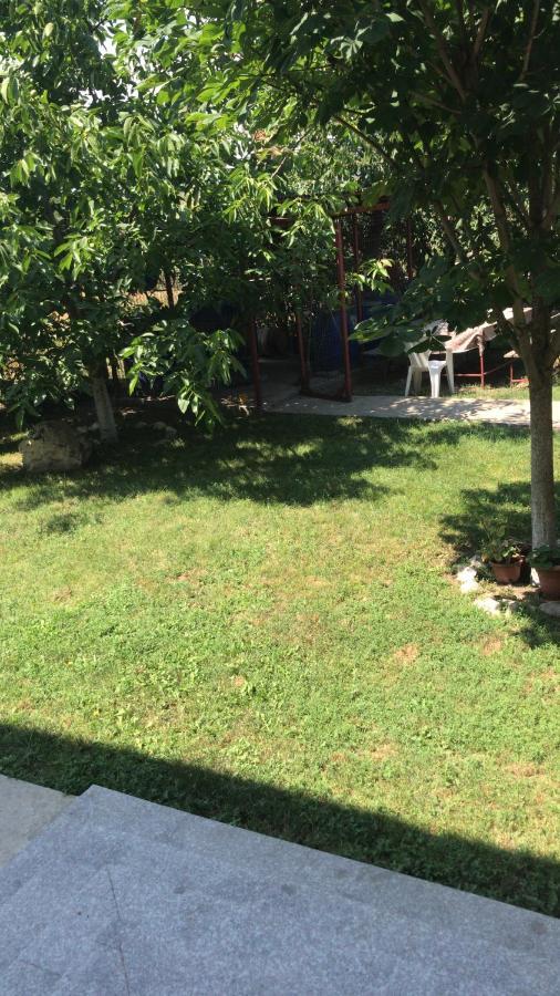 Villa Rosa Năvodari Zewnętrze zdjęcie